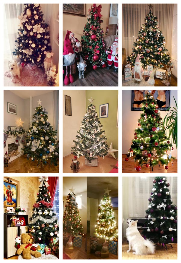 Holiday Tree Contest